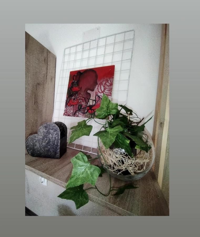 Apartmani S - Dsn Kraljevo Exterior foto
